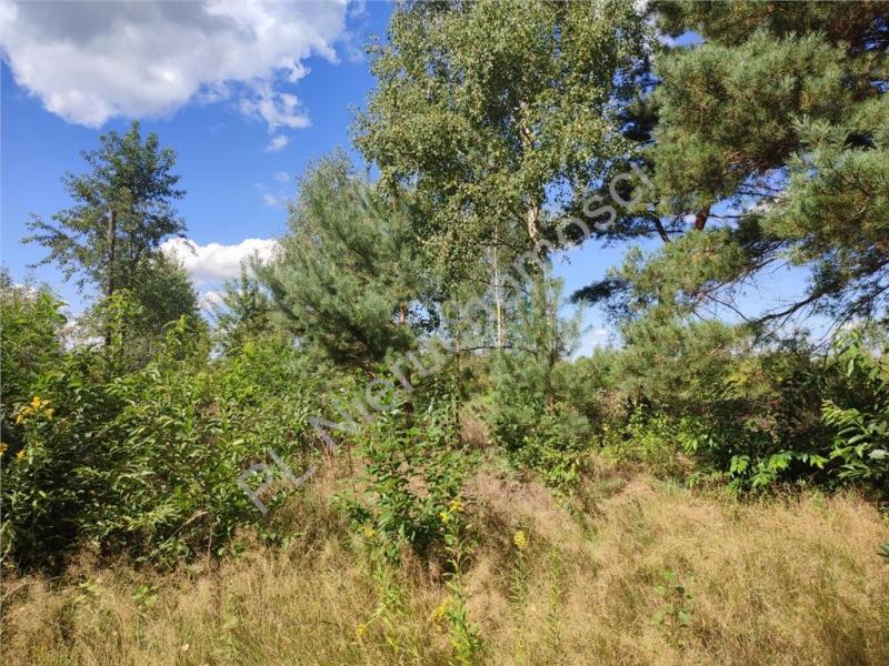 Działka na sprzedaż Słubica A