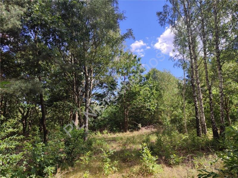 Działka na sprzedaż Słubica A