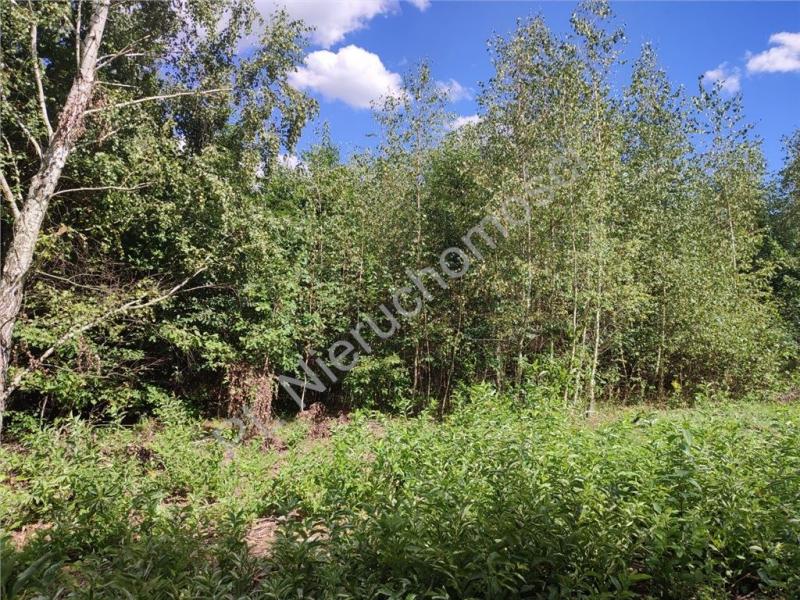 Działka na sprzedaż Słubica A