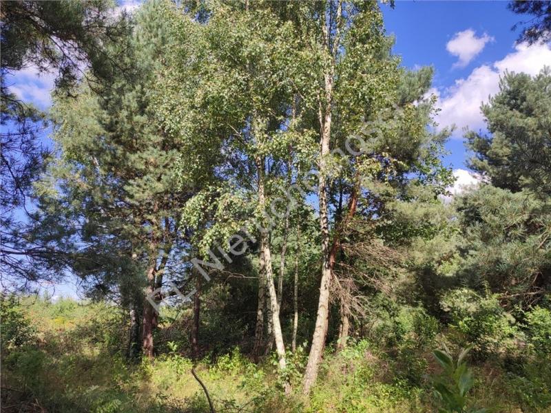 Działka na sprzedaż Słubica A