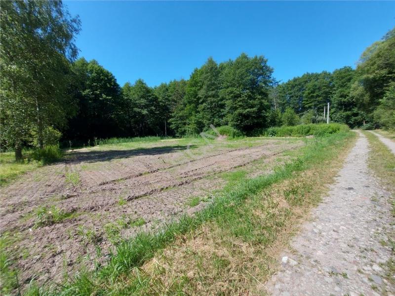 Działka na sprzedaż Pęclin