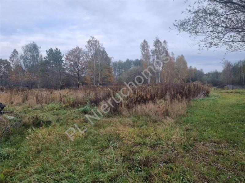 Działka na sprzedaż Ciemne