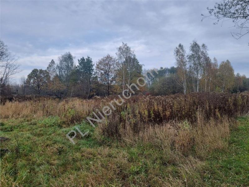 Działka na sprzedaż Ciemne