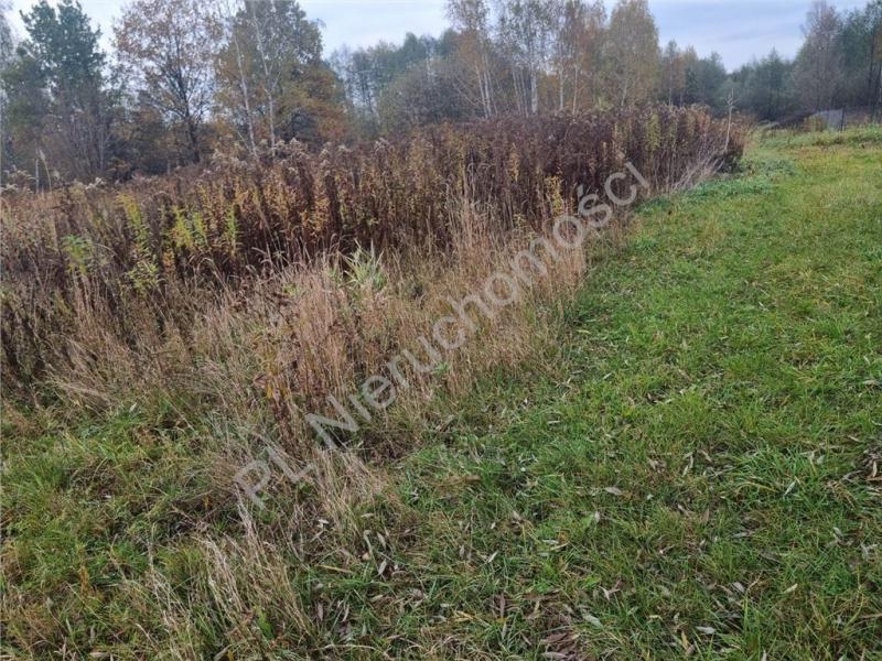 Działka na sprzedaż Ciemne