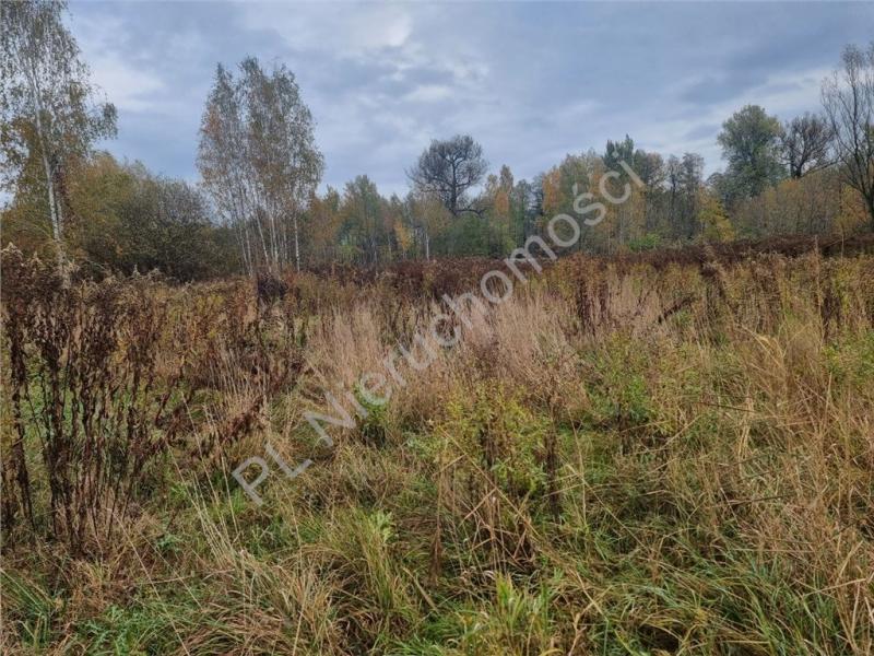 Działka na sprzedaż Ciemne
