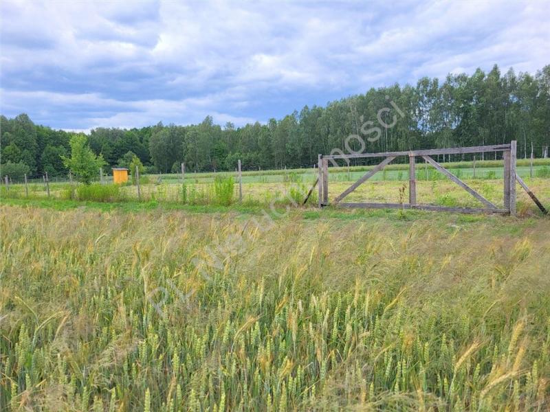 Działka na sprzedaż Piaseczno
