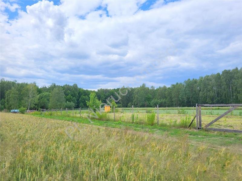 Działka na sprzedaż Piaseczno