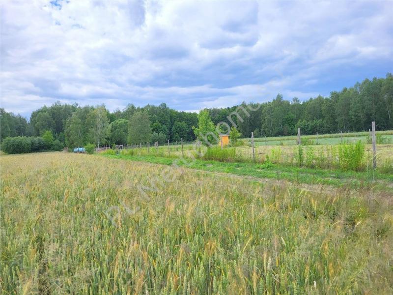 Działka na sprzedaż Piaseczno