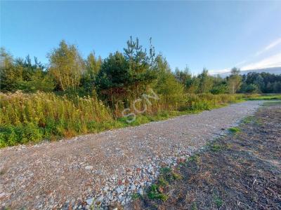 Działka na sprzedaż Pęclin