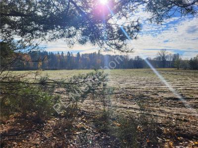 Działka na sprzedaż Gójszcz