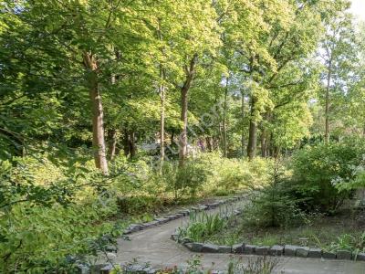 Mieszkanie na wynajem Milanówek