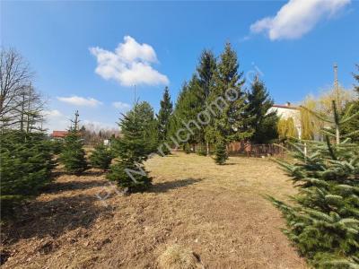 Działka na sprzedaż Jaktorów-Kolonia