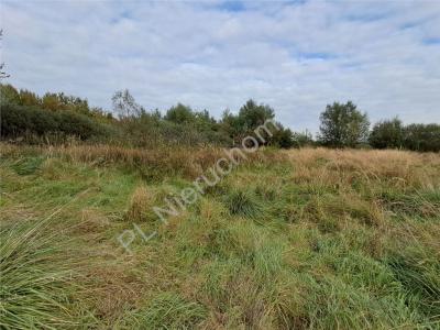 Działka na sprzedaż Brwinów