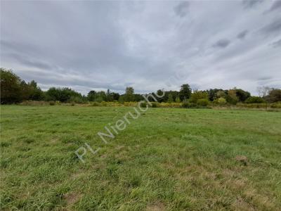 Działka na sprzedaż Stare Budy