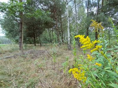 Działka na sprzedaż Przytoka