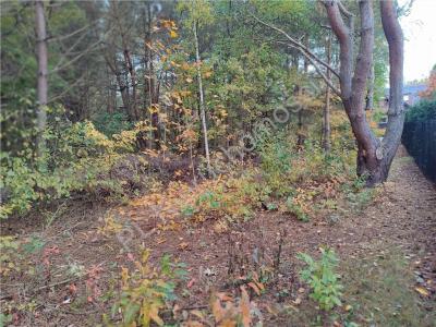 Działka na sprzedaż Strzeniówka