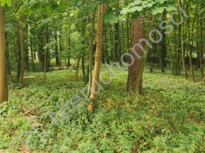 Działka na sprzedaż Milanówek