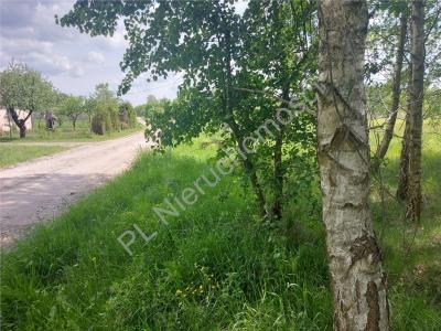 Działka na sprzedaż Strugi Krzywickie