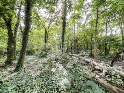 Działka na sprzedaż Milanówek