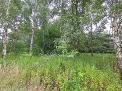 Działka na sprzedaż Jastrzębnik