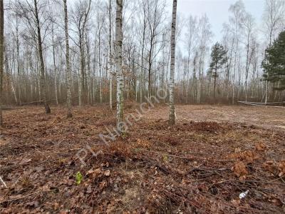 Działka na sprzedaż Adamowizna