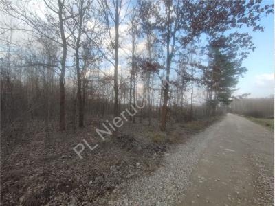 Działka na sprzedaż Janinów