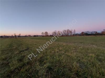 Działka na sprzedaż Roszczep