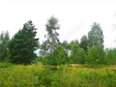 Działka na sprzedaż Kolonia Janów