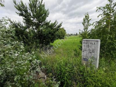 Działka na sprzedaż Falenty Nowe