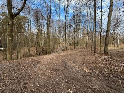 Działka na sprzedaż Adamów-Wieś