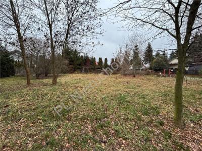 Działka na sprzedaż Natolin