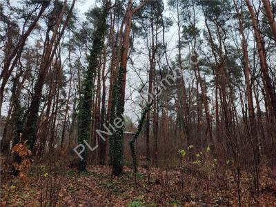 Działka na sprzedaż Owczarnia