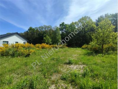 Działka na sprzedaż Owczarnia