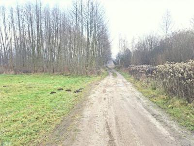 Działka na sprzedaż Budy Przytockie