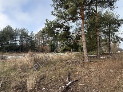 Działka na sprzedaż Kaleń