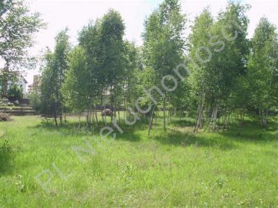 Działka na sprzedaż Czarny Las