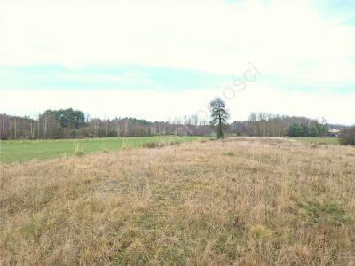 Działka na sprzedaż Rudzienko