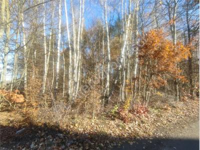 Działka na sprzedaż Redlanka