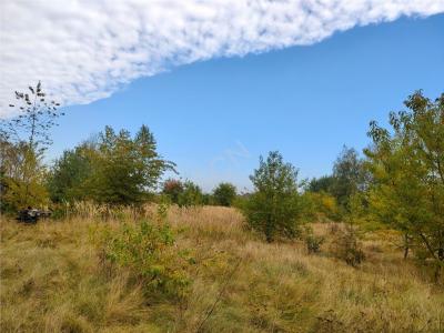 Działka na sprzedaż Olszewnica Stara