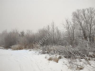Działka na sprzedaż Grodzisk Mazowiecki