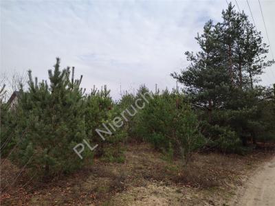 Działka na sprzedaż Żółwin