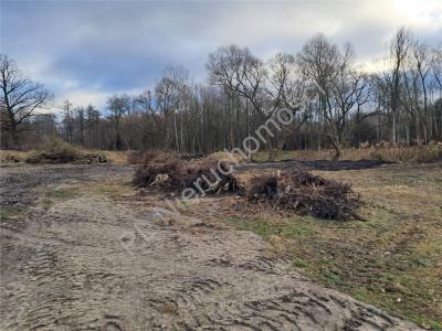 Działka na sprzedaż Budy-Grzybek