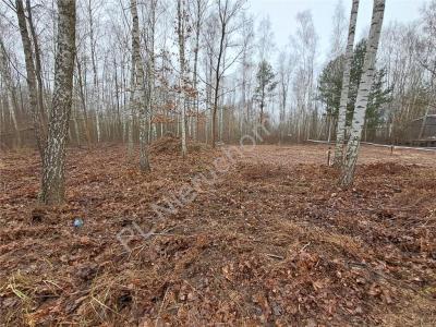 Działka na sprzedaż Adamowizna