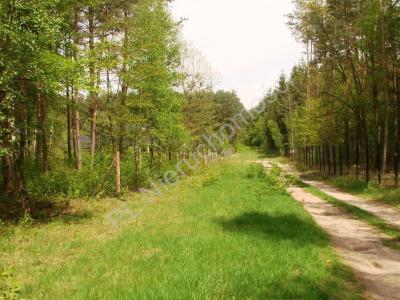 Działka na sprzedaż Książenice