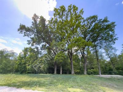 Działka na sprzedaż Adamowizna