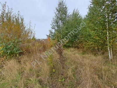 Działka na sprzedaż Jaktorów-Kolonia