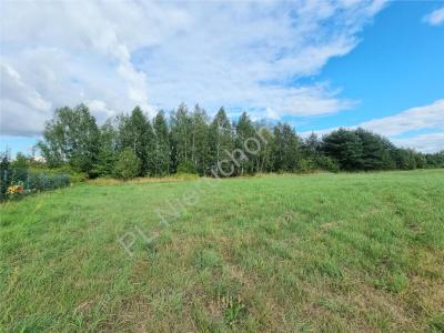 Działka na sprzedaż Rusiec