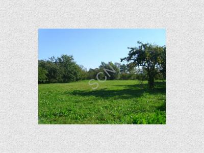 Działka na sprzedaż Nadbrzeż