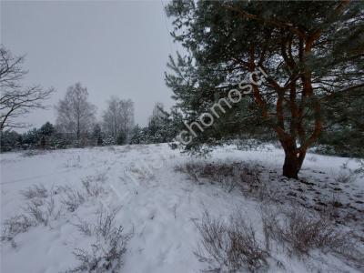 Działka na sprzedaż Łąki