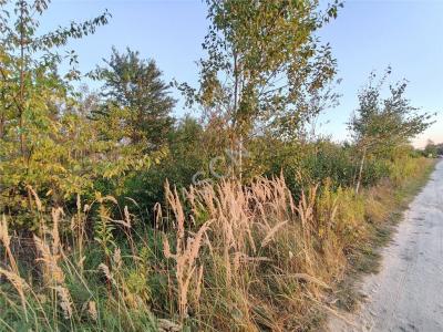 Działka na sprzedaż Dosin